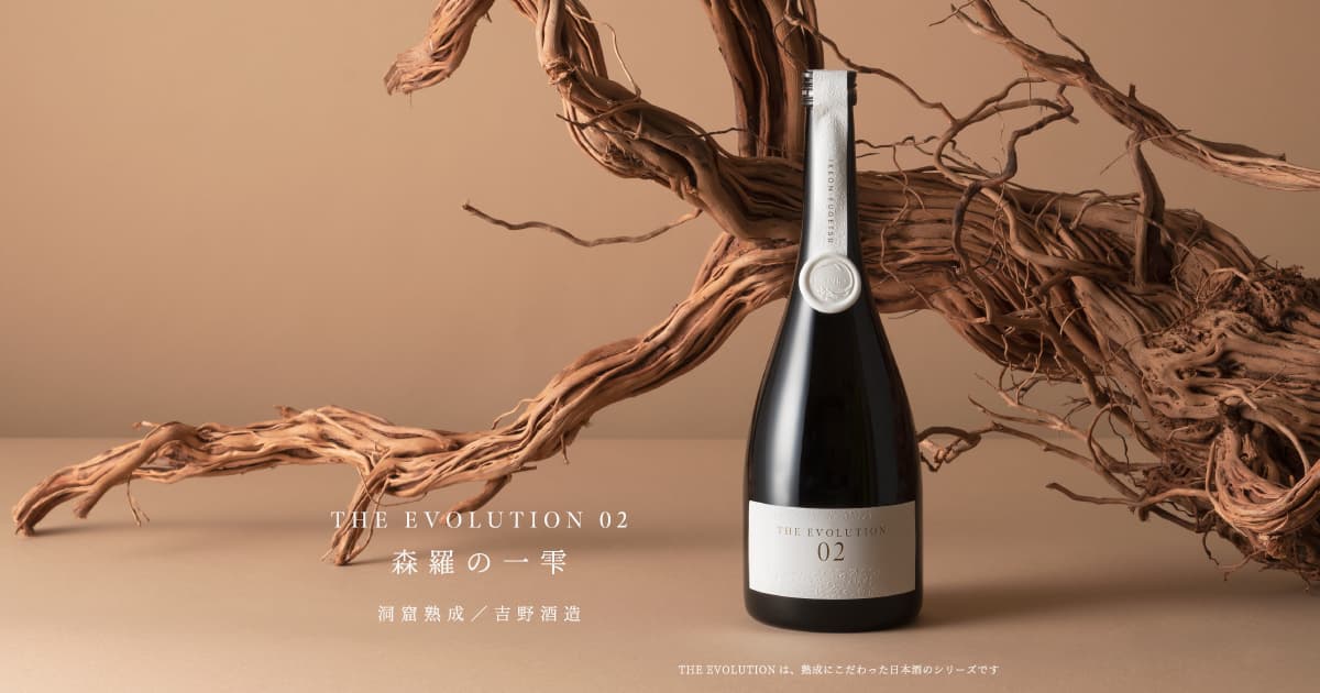 THE EVOLUTION 02 | THE EVOLUTION